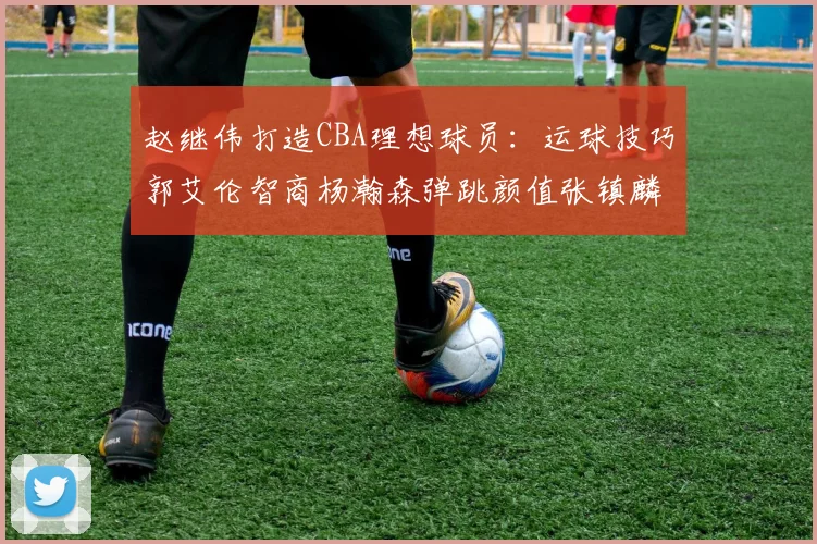 赵继伟打造CBA理想球员：运球技巧郭艾伦智商杨瀚森弹跳颜值张镇麟完美结合